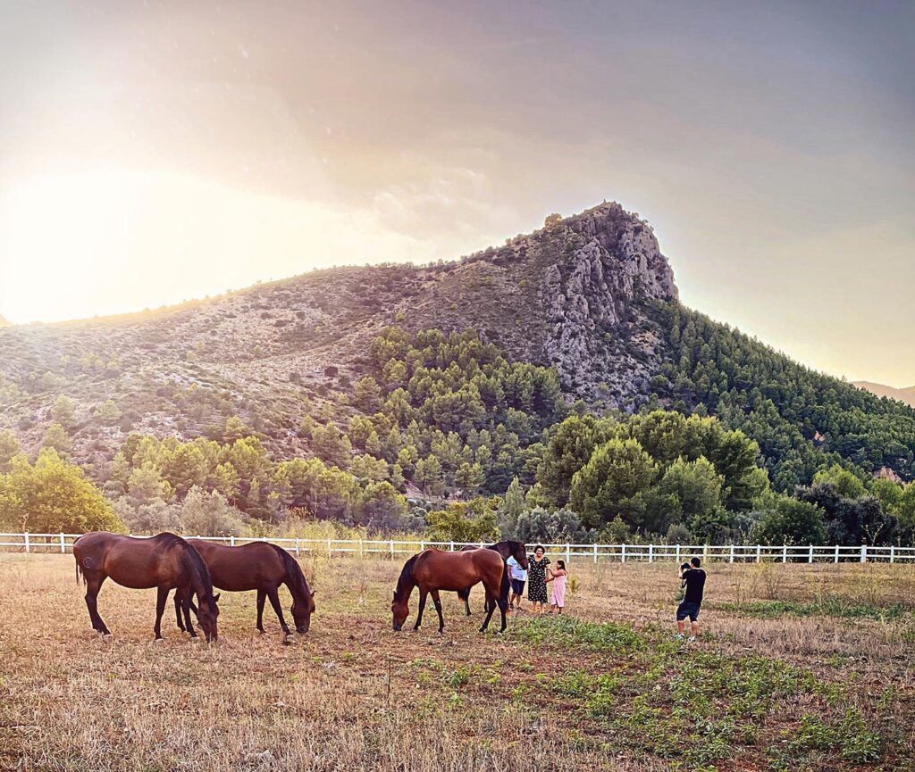 4dce12d6 b4a9 400e 93d6 fad91f7fc745