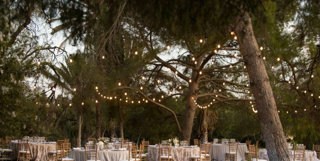 whatsapp image 2026 04 07 at 17.29.03