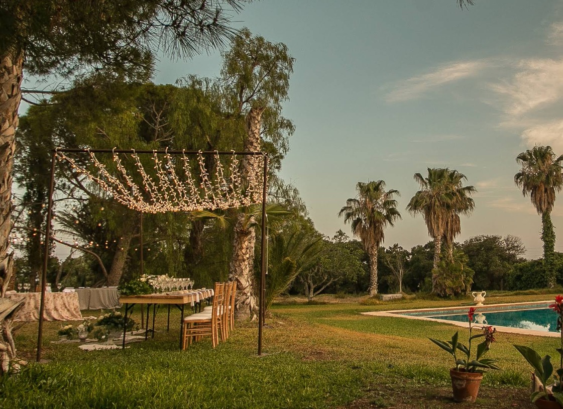 whatsapp image 2026 04 07 at 17.32.55