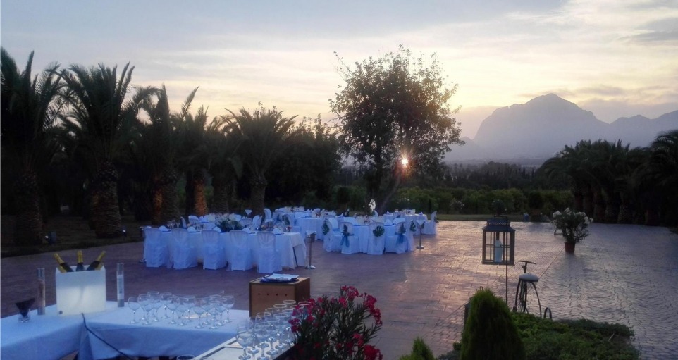 whatsapp image 2026 04 07 at 18.02.26